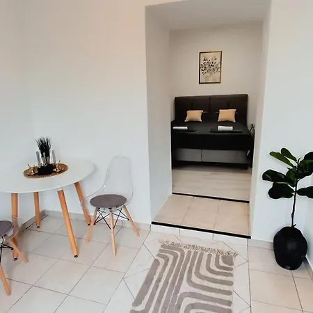 Nar - Pored Sahat Kule Podgorica